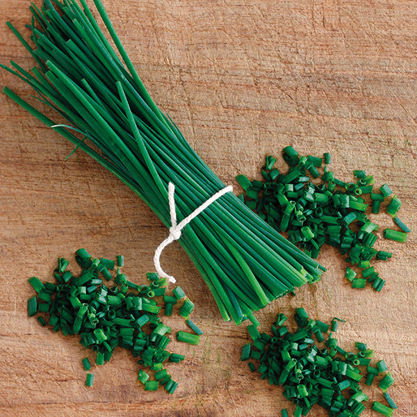 Delicious Biggy Chives!