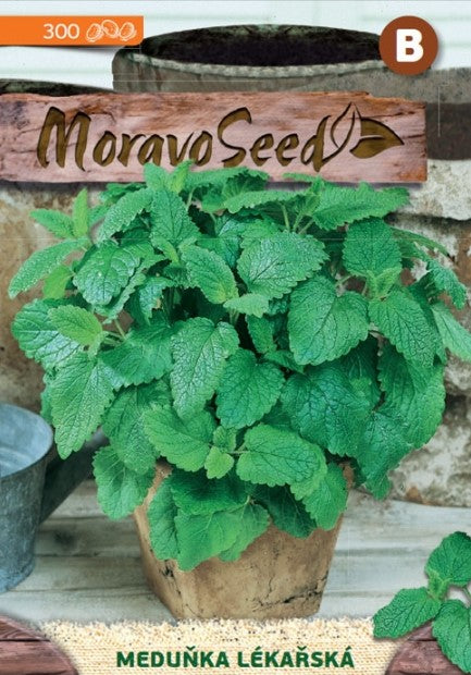 Lemon Balm