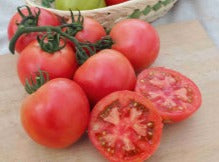 Roselady Tomato