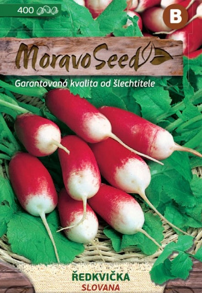 Slovana Radish