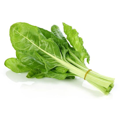 Green Swiss Chard