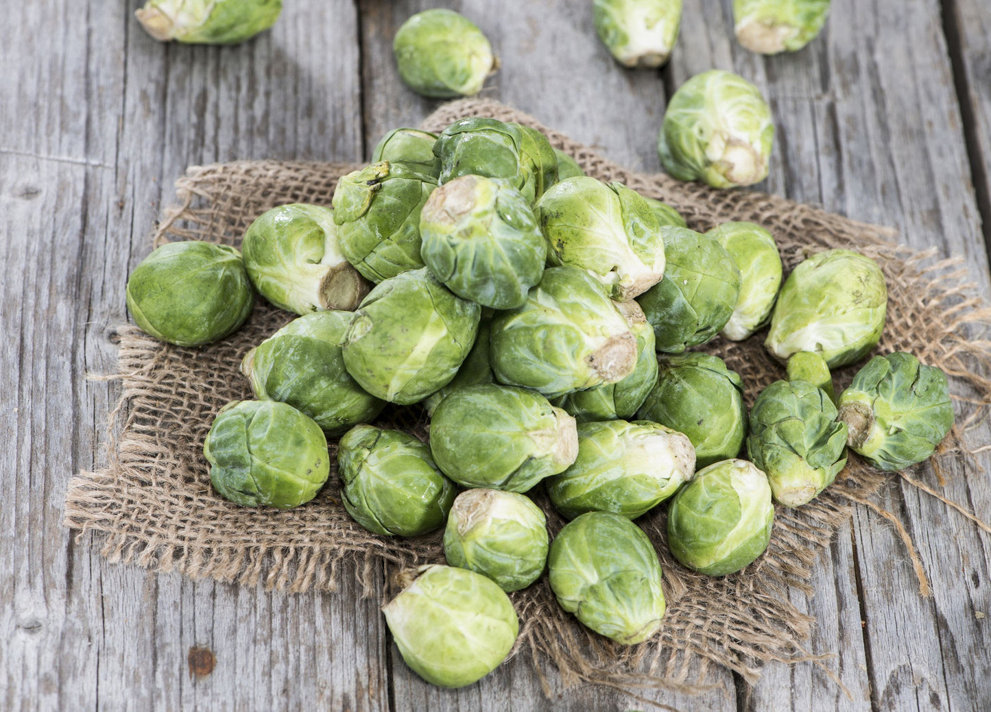 Brussels Sprout