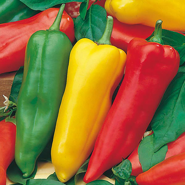 Romano Sweet Mixed Pepper