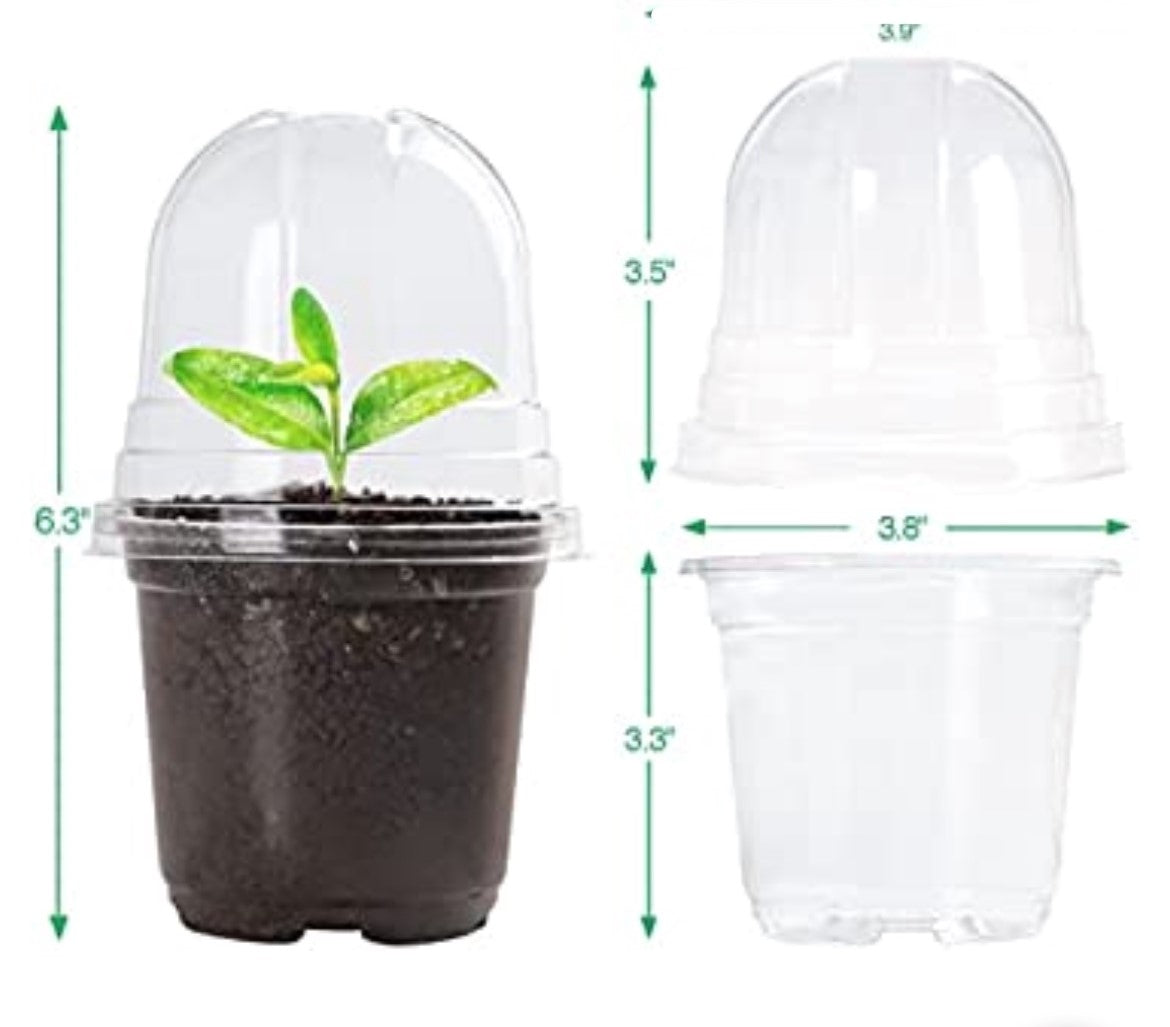 Clear nursery pots