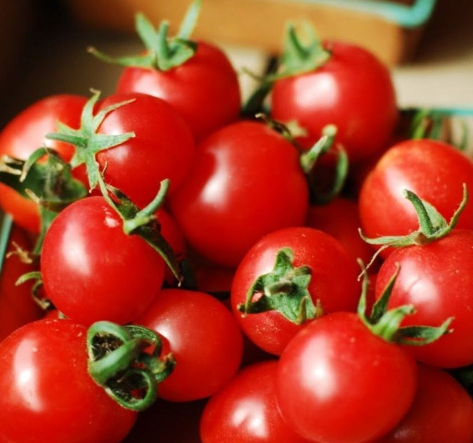 Red Cherry Tomato