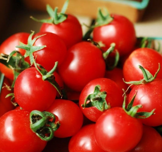 Red Cherry Tomato